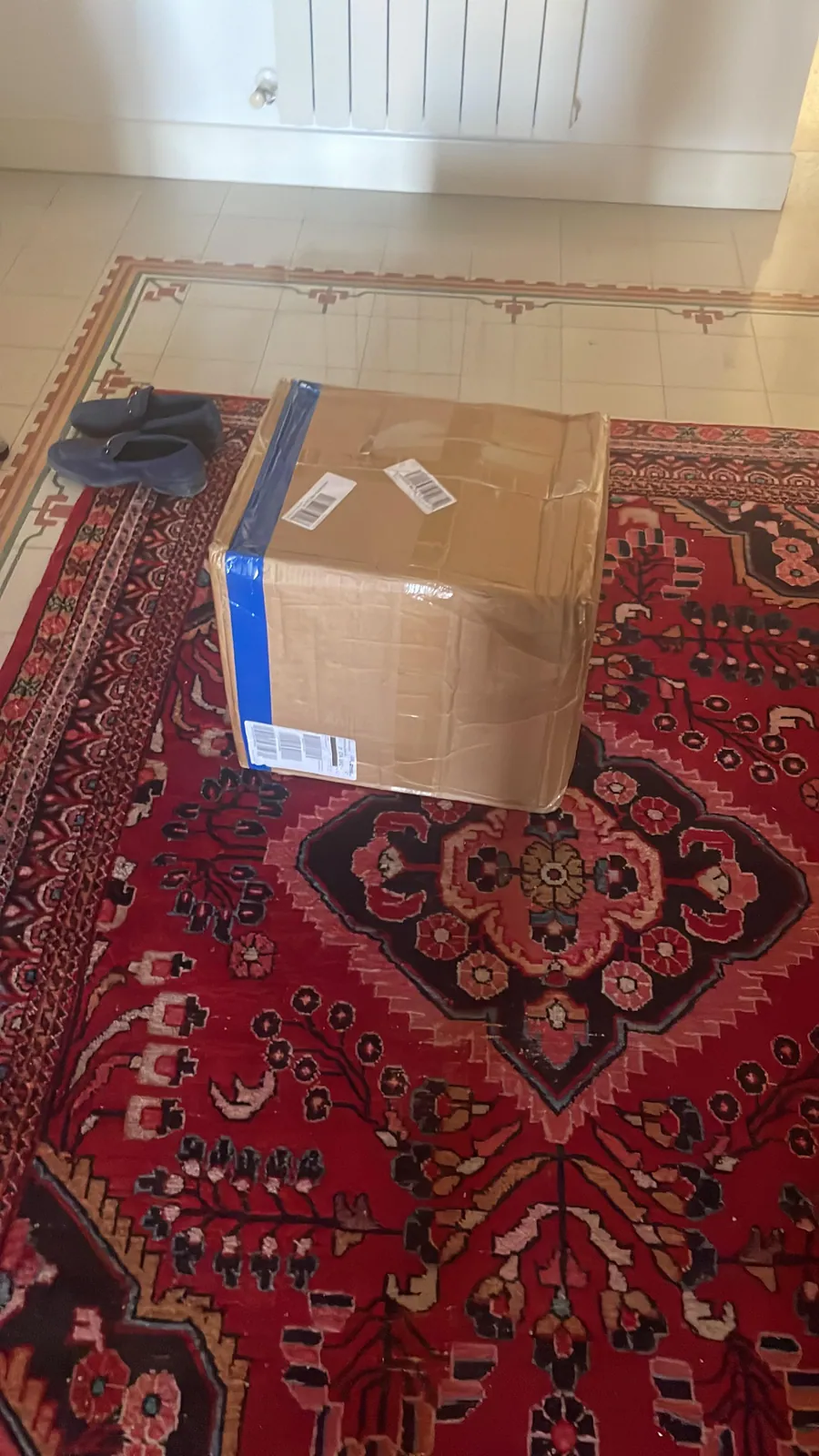 Taped cardboard parcel on a red patterned rug